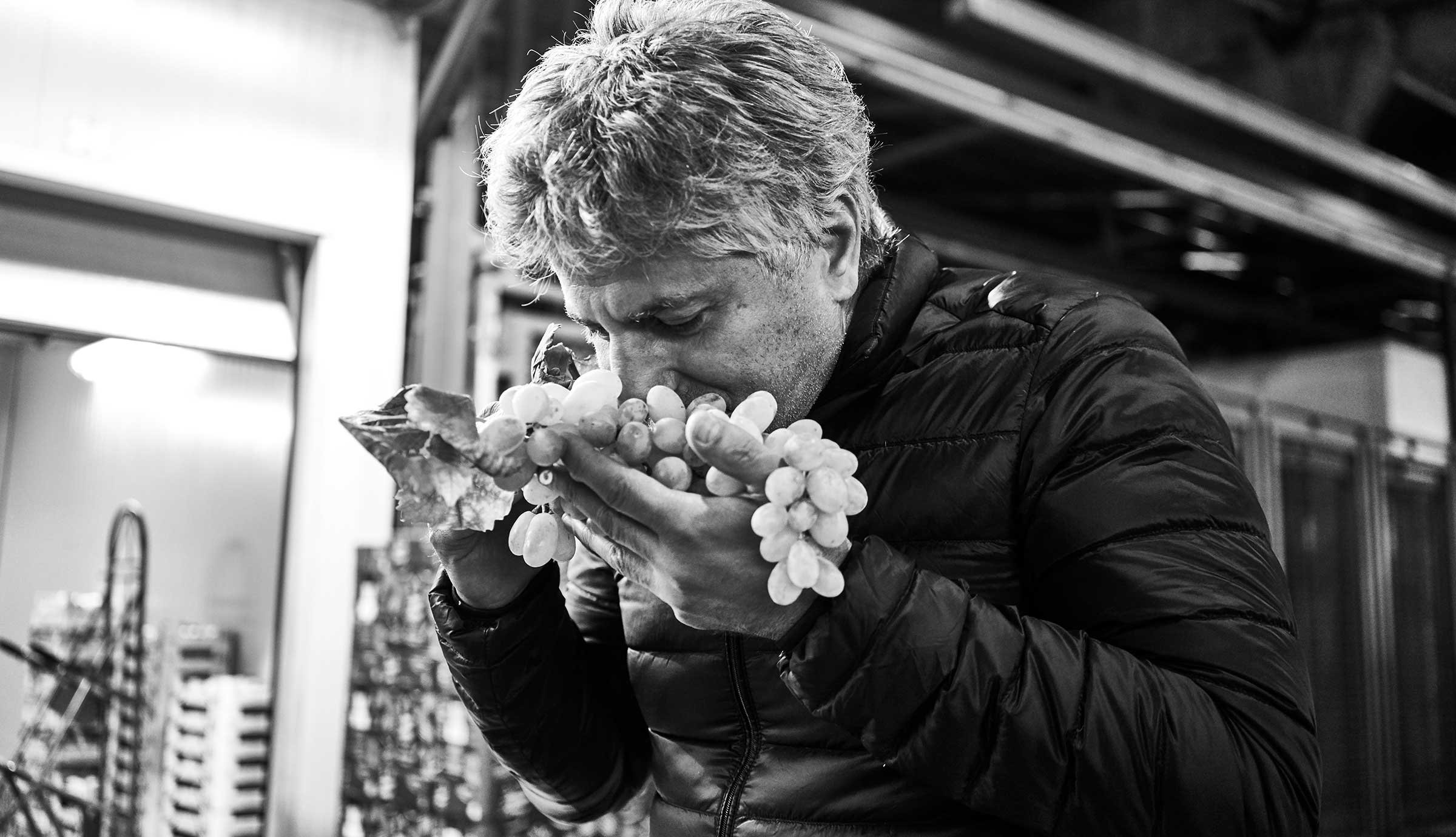 Rocco Princi smells a bunch of grapes in produce market